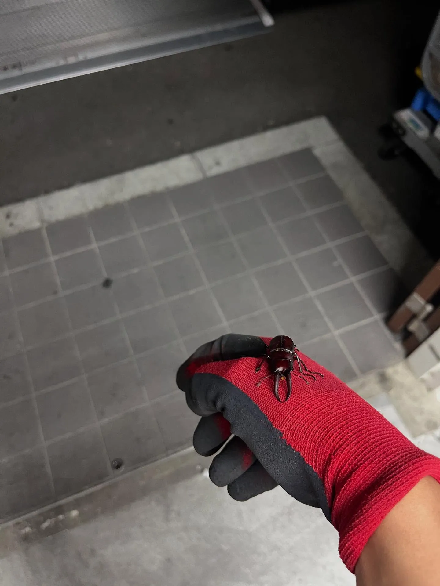 みなさんお疲れ様です！！