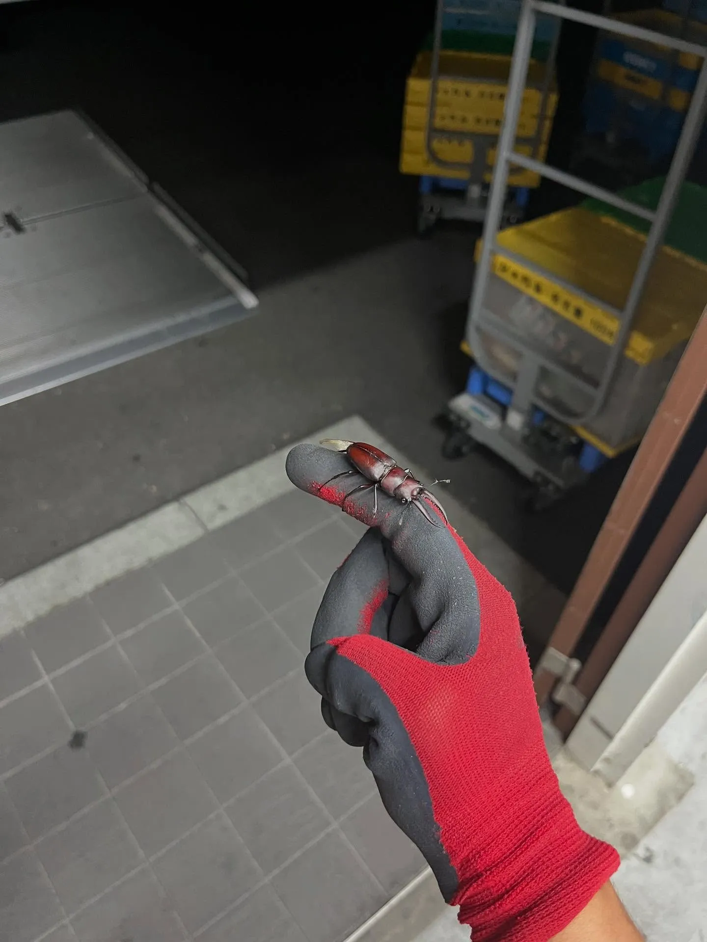 みなさんお疲れ様です！！