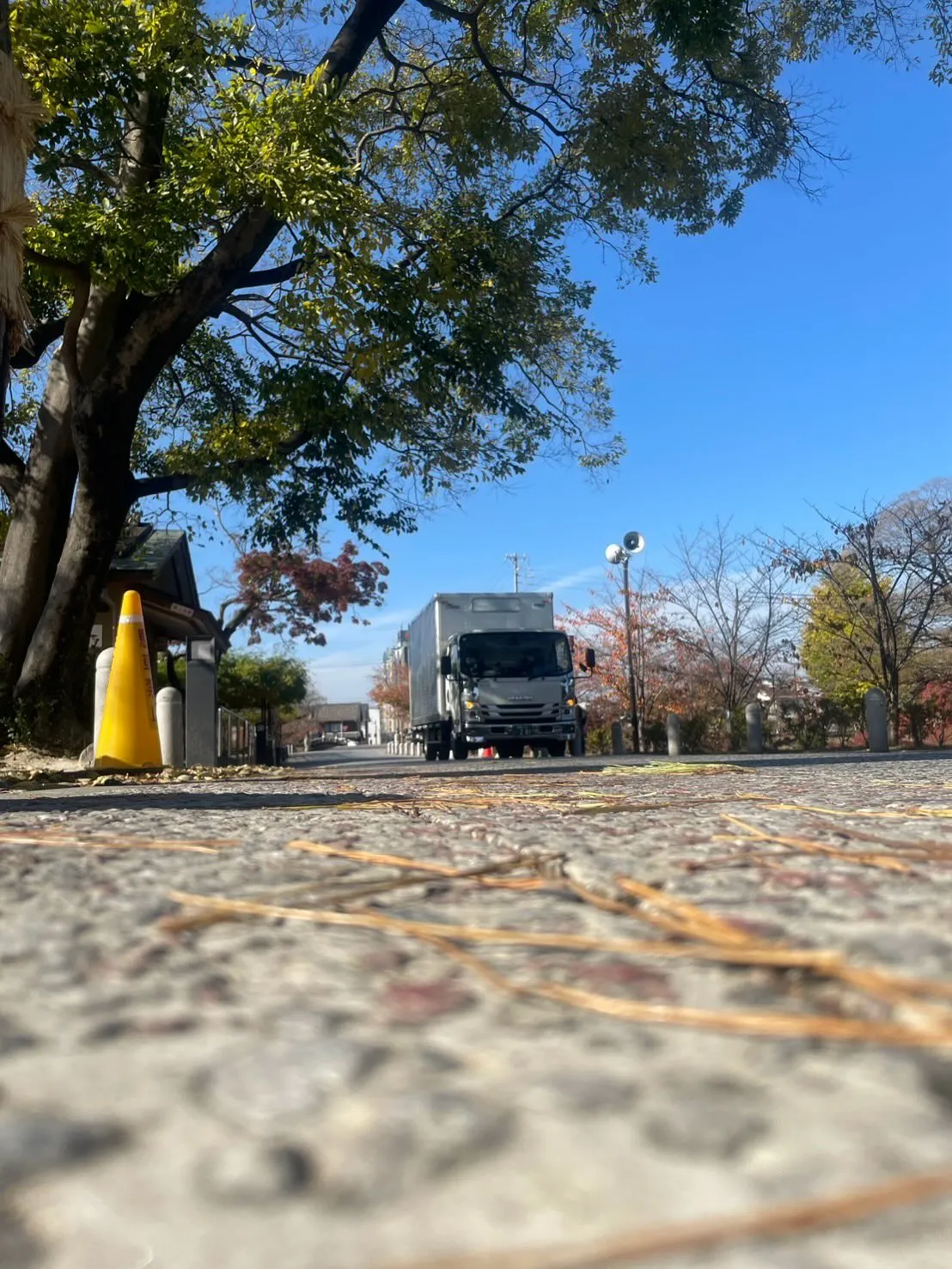 日中はポカポカ暖かくて眠くなっちゃいますね🫠