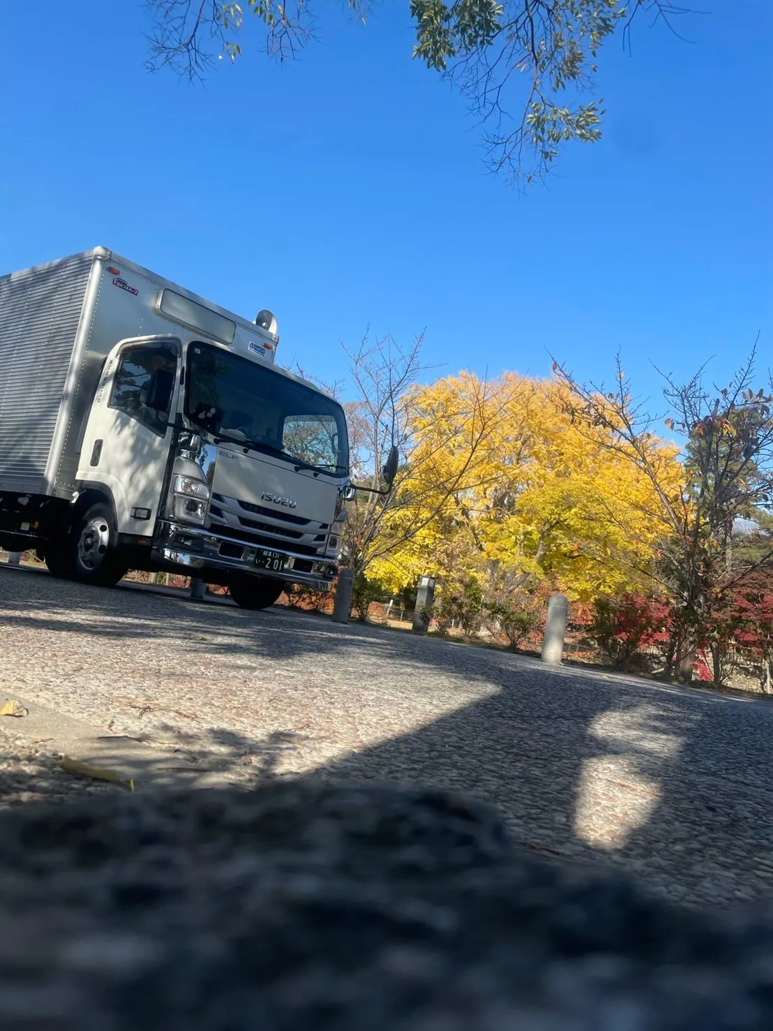 日中はポカポカ暖かくて眠くなっちゃいますね🫠