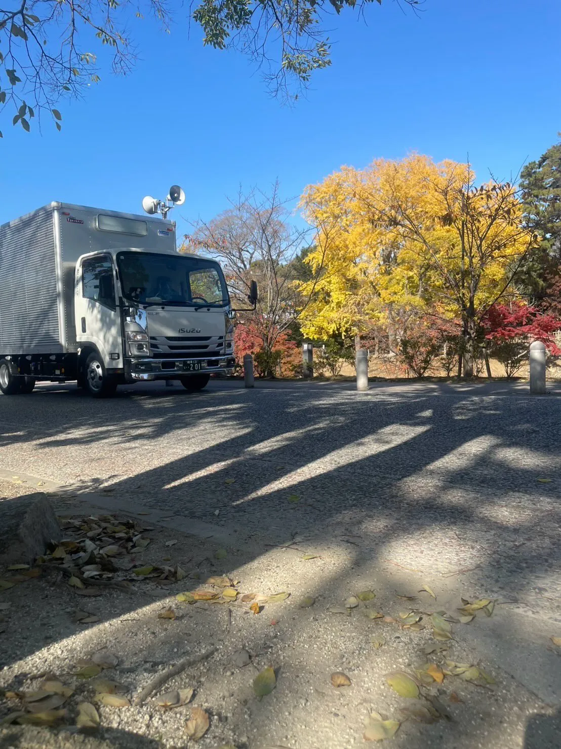 日中はポカポカ暖かくて眠くなっちゃいますね🫠