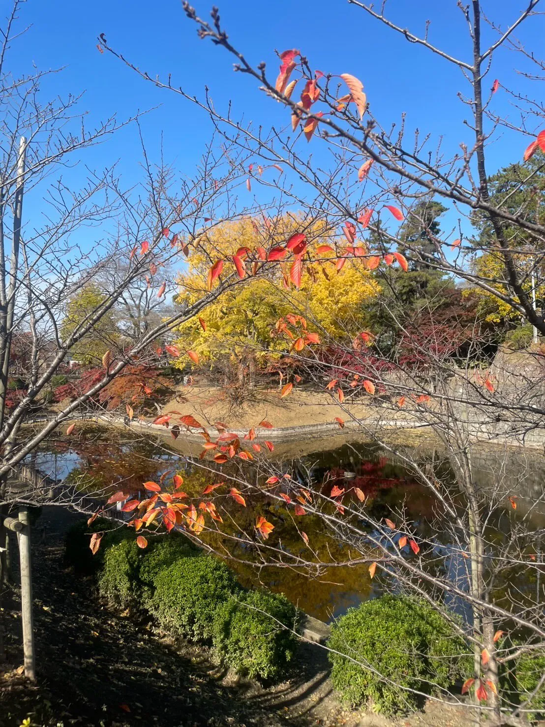 日中はポカポカ暖かくて眠くなっちゃいますね🫠