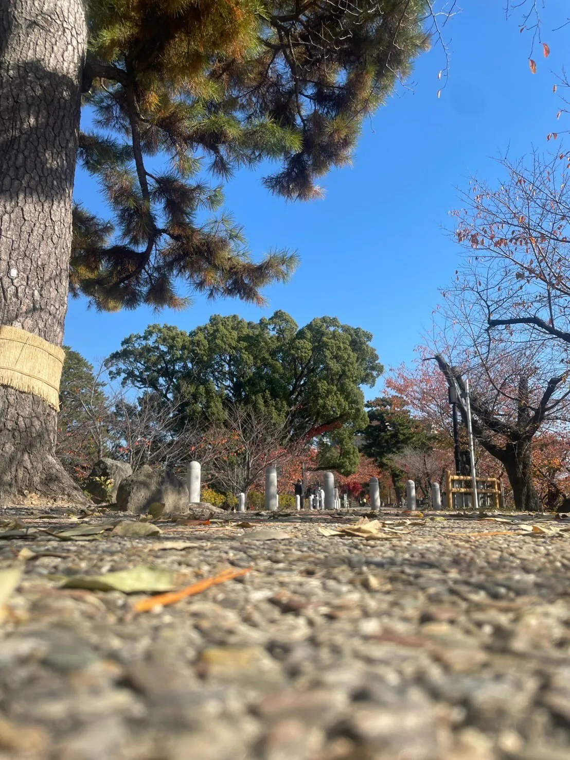 日中はポカポカ暖かくて眠くなっちゃいますね🫠