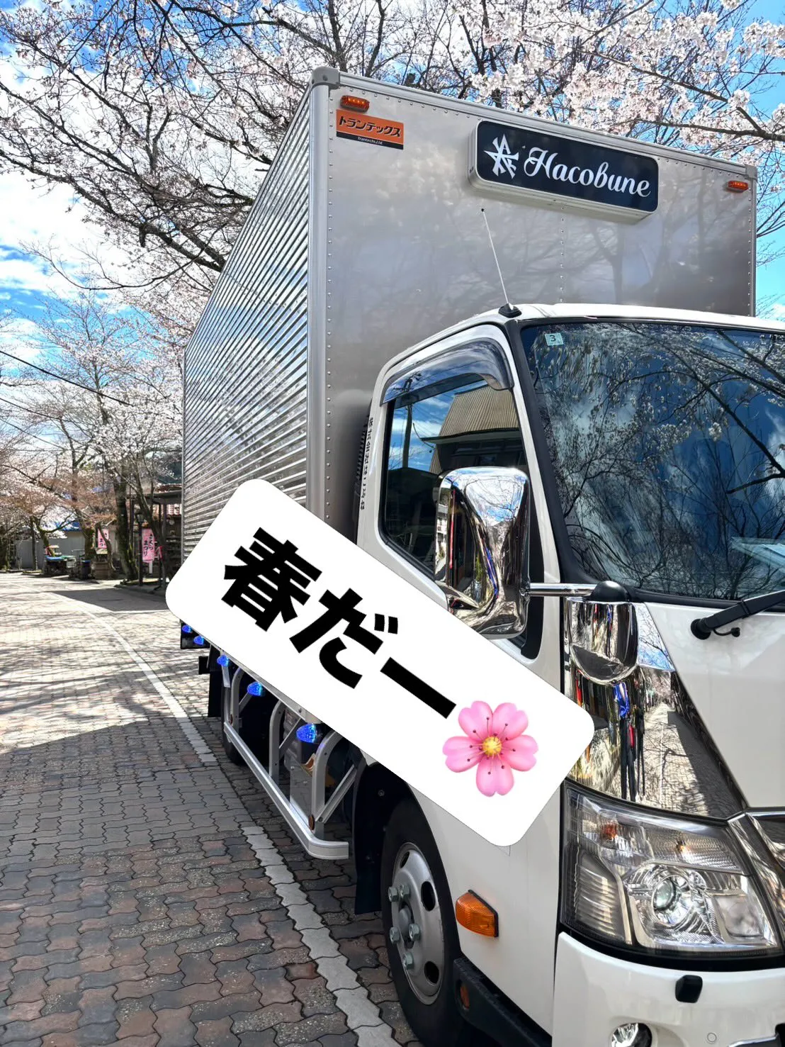 暖かくなってきて桜もキレイに咲いてた🥹