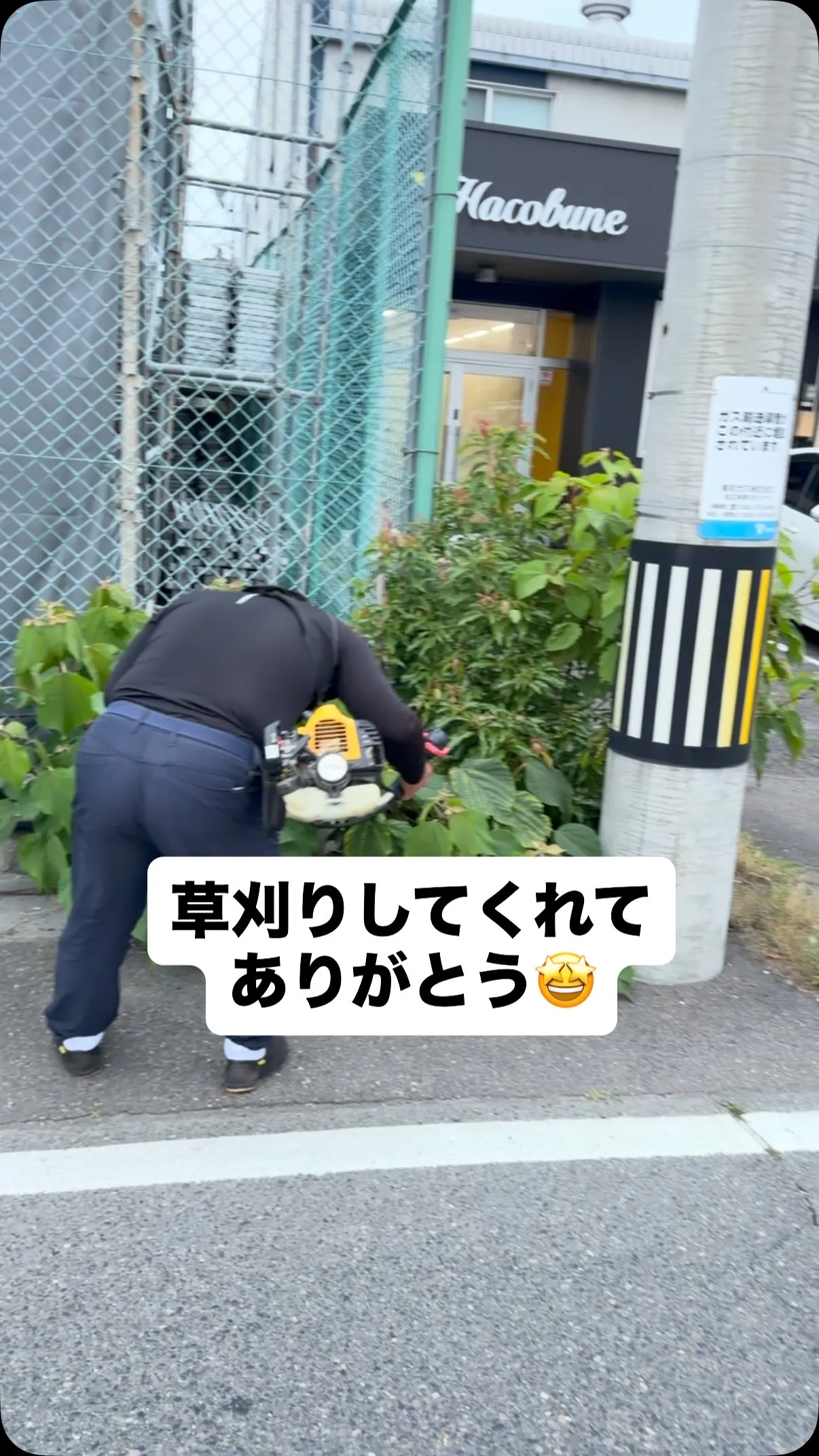快く草を刈ってくれるのホント助かる🥰